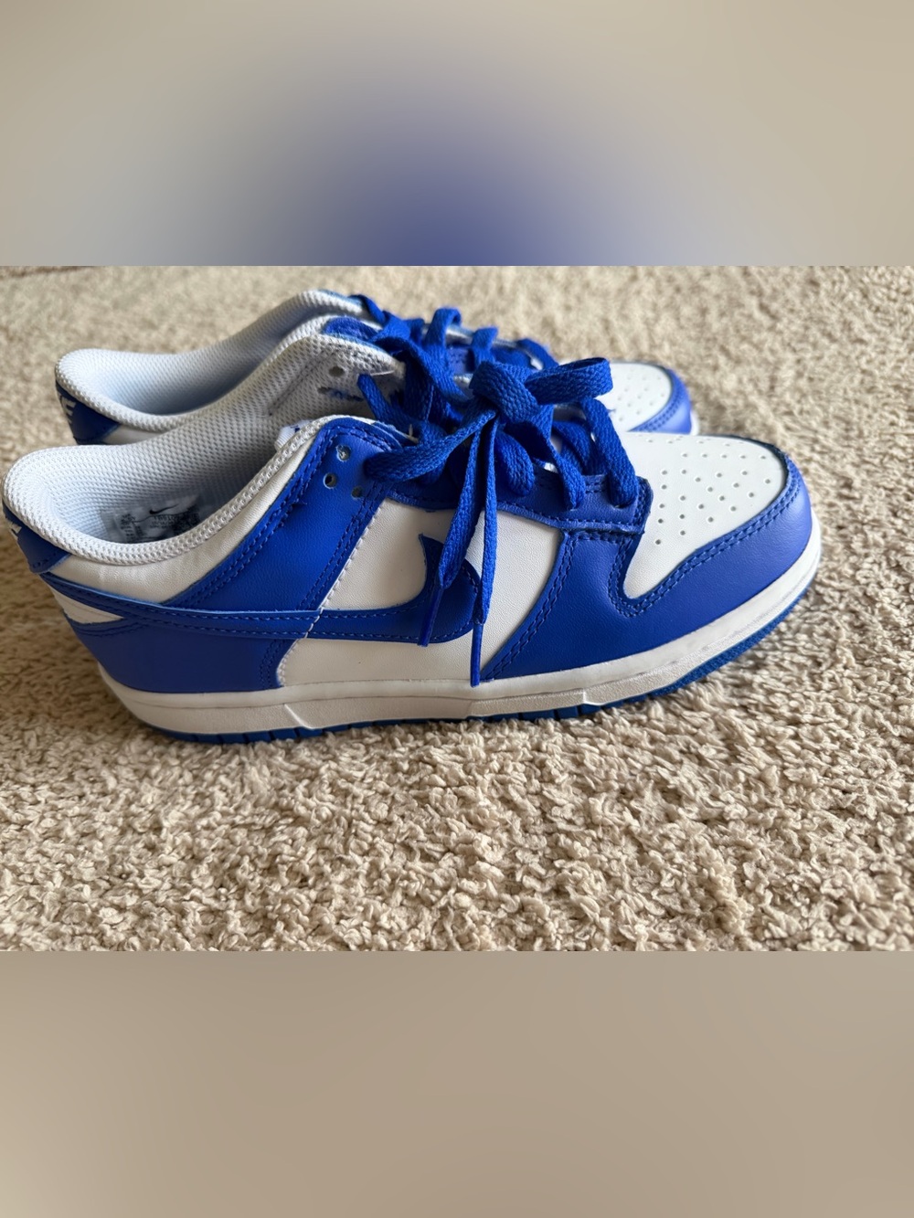 Nike Dunk Low Next Nature Kentucky Blue White Sneakers 5.5Y Women’s 7 FB9109-102
